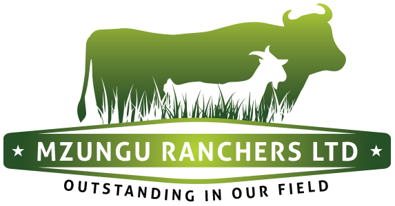 Mzungu Ranchers